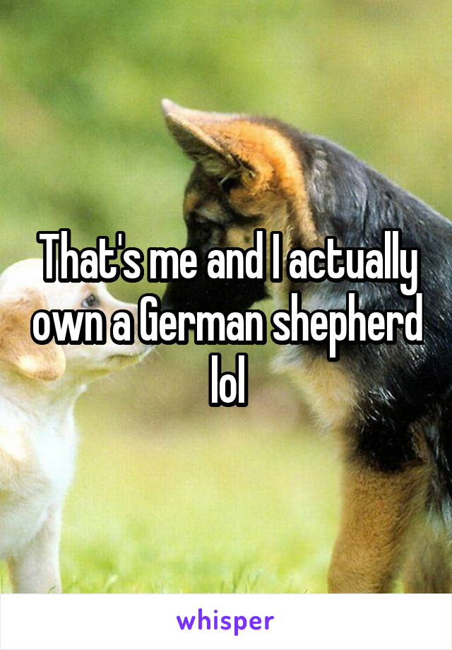 That's me and I actually own a German shepherd lol