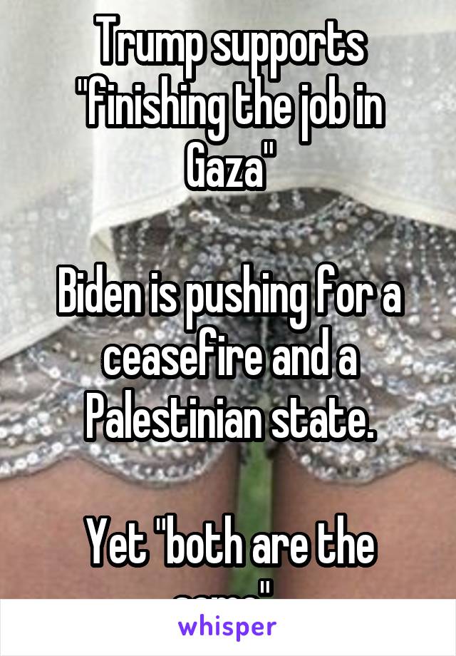 Trump supports "finishing the job in Gaza"

Biden is pushing for a ceasefire and a Palestinian state.

Yet "both are the same". 