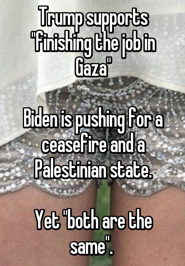 Trump supports "finishing the job in Gaza"

Biden is pushing for a ceasefire and a Palestinian state.

Yet "both are the same". 