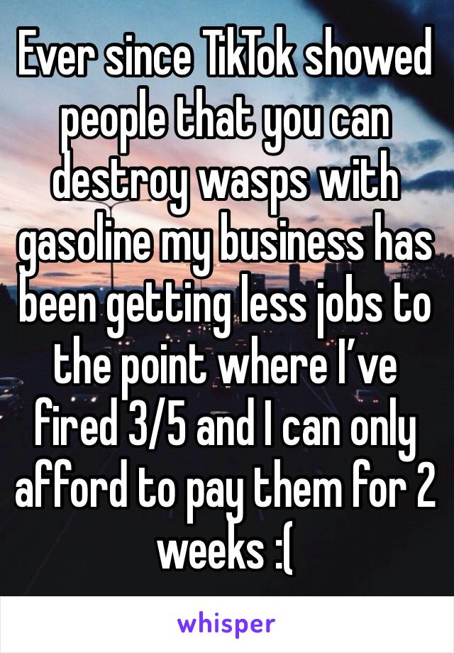 Ever since TikTok showed people that you can destroy wasps with gasoline my business has been getting less jobs to the point where I’ve fired 3/5 and I can only afford to pay them for 2 weeks :(