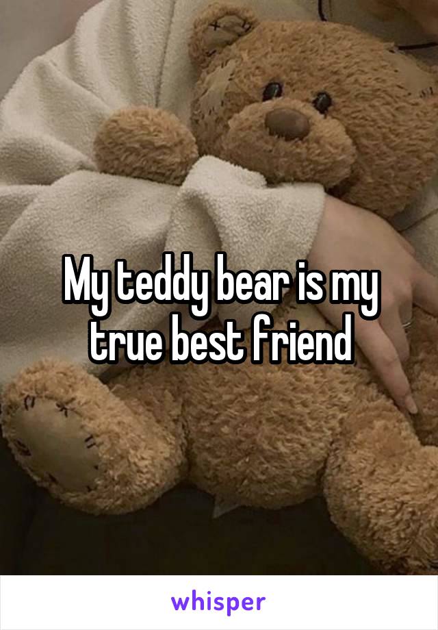 My teddy bear is my true best friend