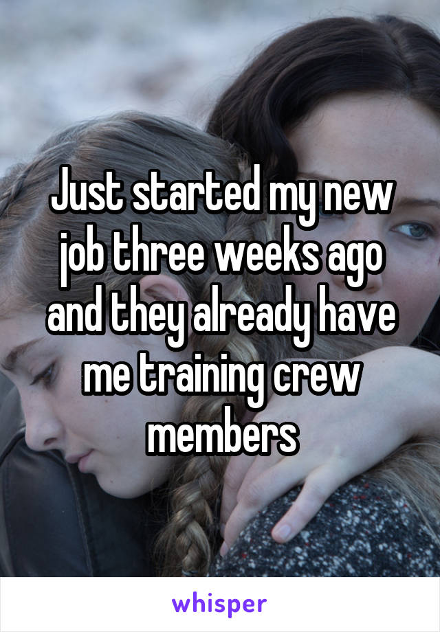 Just started my new job three weeks ago and they already have me training crew members