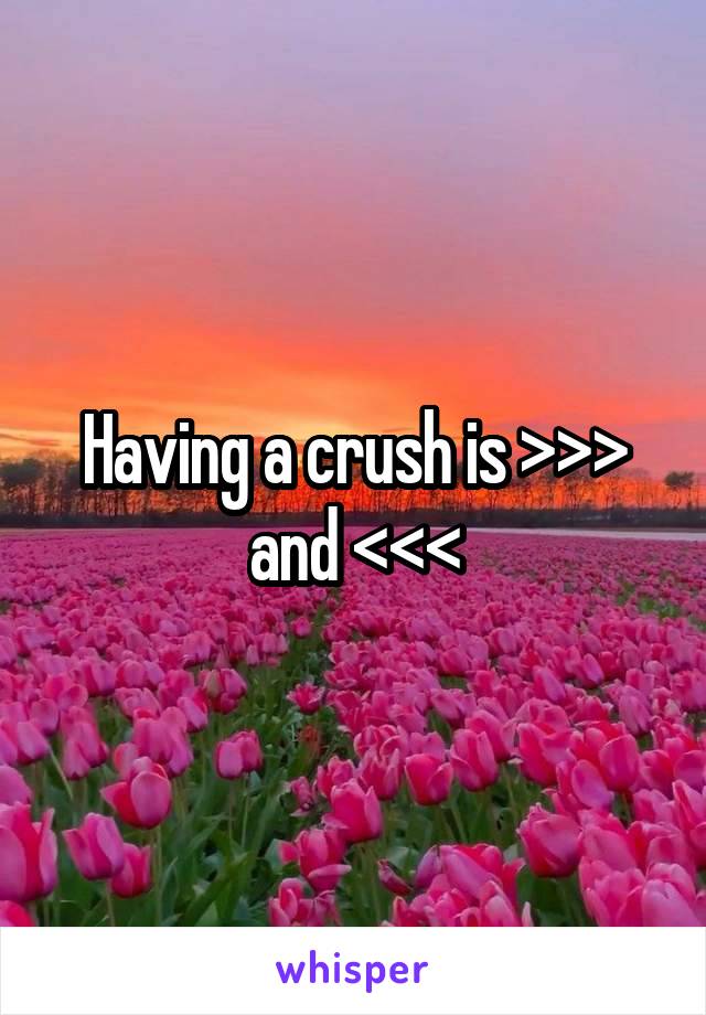 Having a crush is >>> and <<<