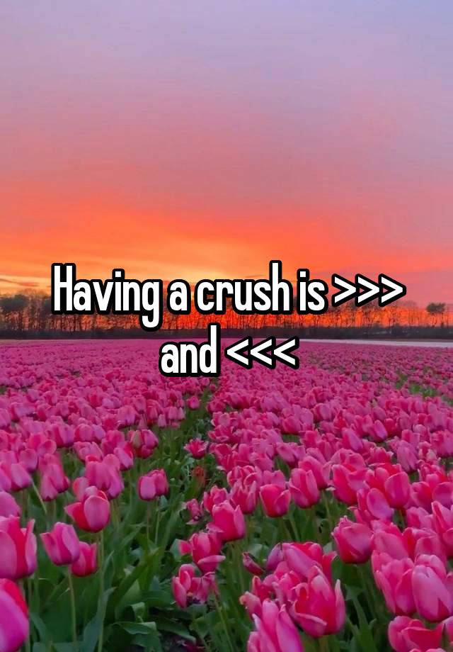 Having a crush is >>> and <<<