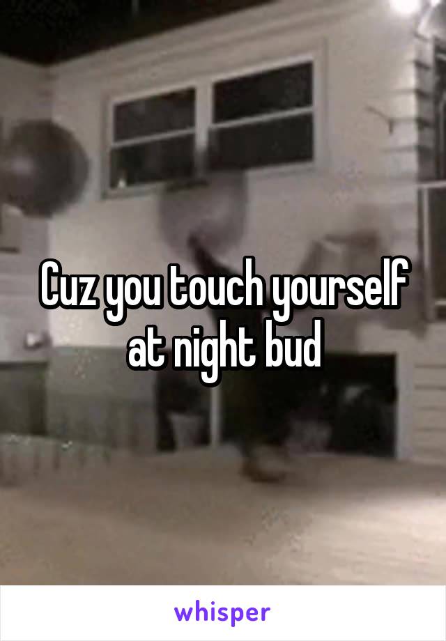 Cuz you touch yourself at night bud