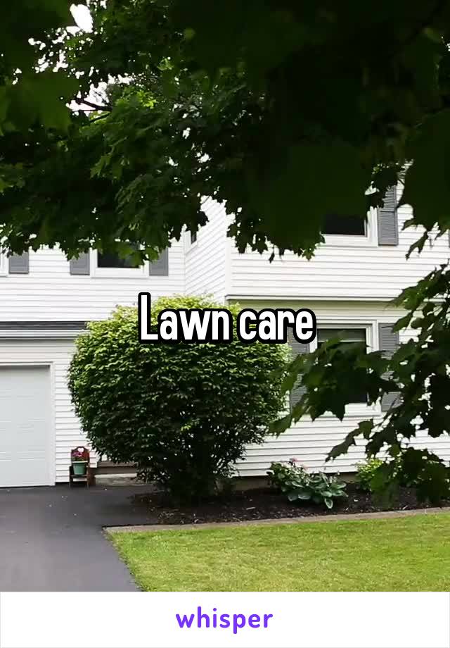 Lawn care