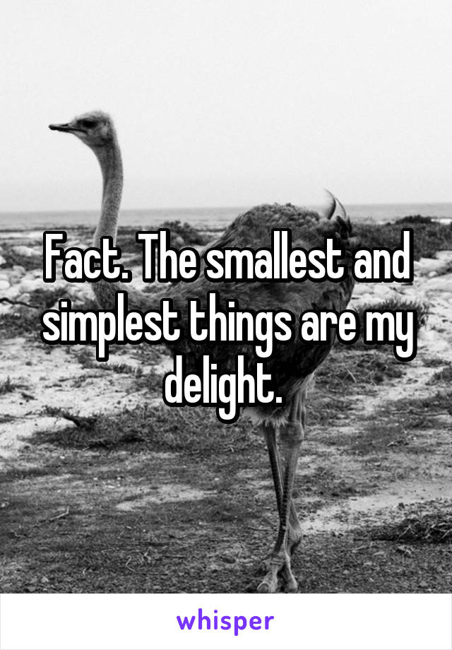 Fact. The smallest and simplest things are my delight. 