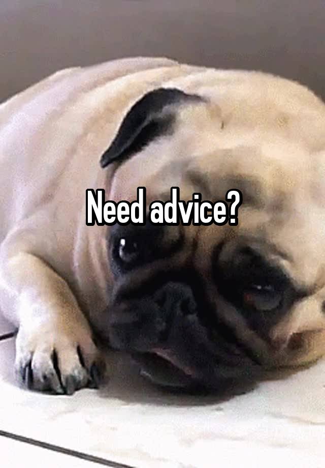 Need advice?
