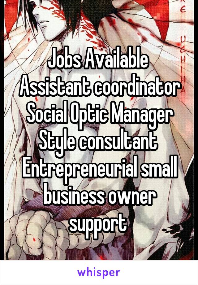 Jobs Available 
Assistant coordinator
Social Optic Manager
Style consultant 
Entrepreneurial small business owner support 