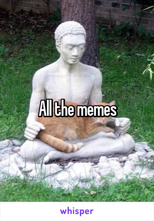 All the memes