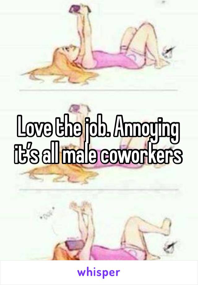 Love the job. Annoying it’s all male coworkers 