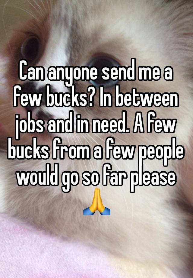 Can anyone send me a few bucks? In between jobs and in need. A few bucks from a few people would go so far please🙏