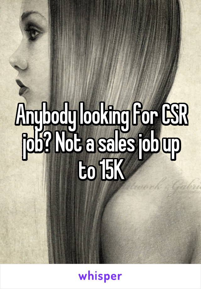 Anybody looking for CSR job? Not a sales job up to 15K