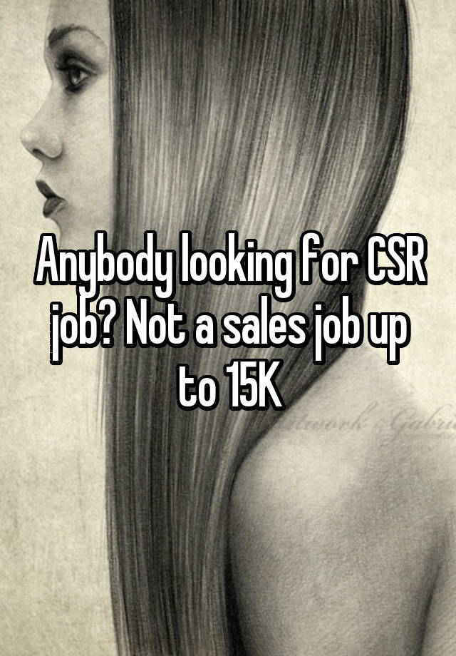 Anybody looking for CSR job? Not a sales job up to 15K