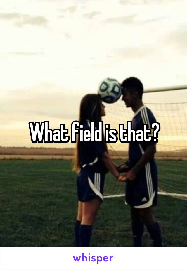 What field is that?