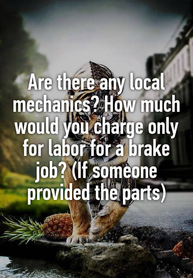 Are there any local mechanics? How much would you charge only for labor for a brake job? (If someone provided the parts)