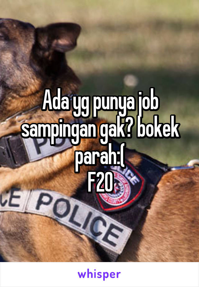 Ada yg punya job sampingan gak? bokek parah:(
F20