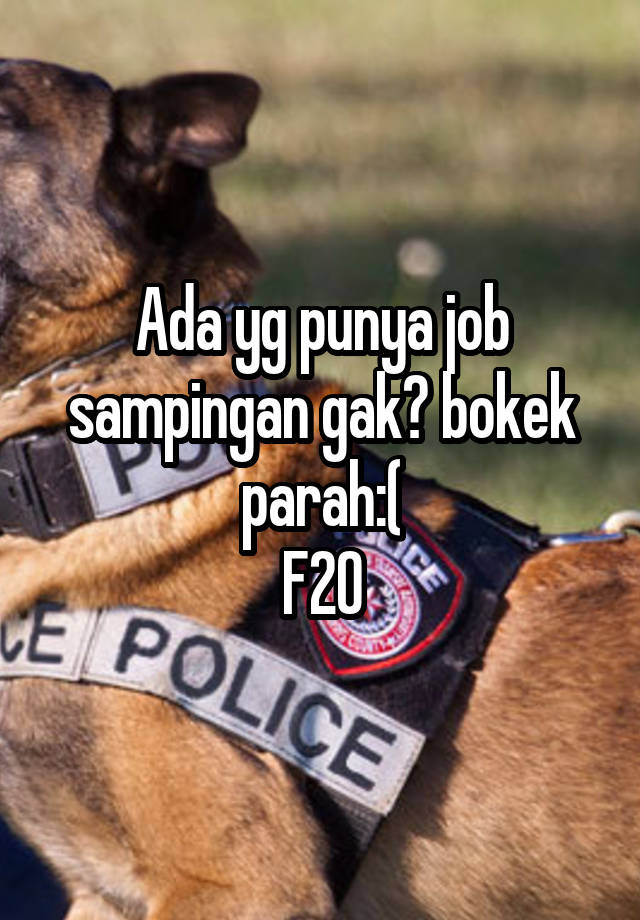 Ada yg punya job sampingan gak? bokek parah:(
F20