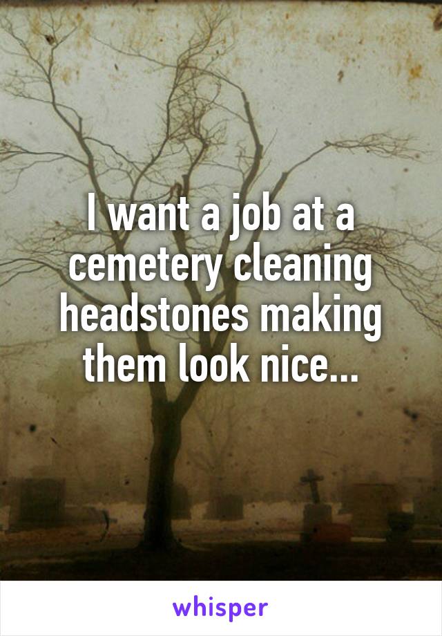 I want a job at a cemetery cleaning headstones making them look nice...
