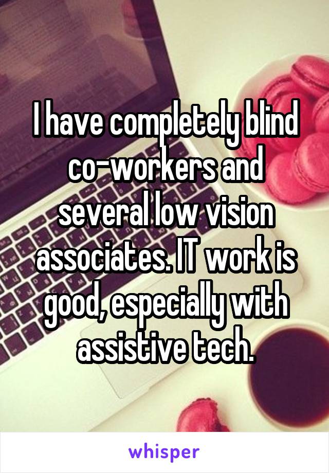 I have completely blind co-workers and several low vision associates. IT work is good, especially with assistive tech.