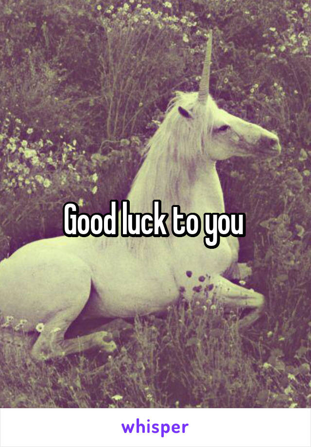 Good luck to you 