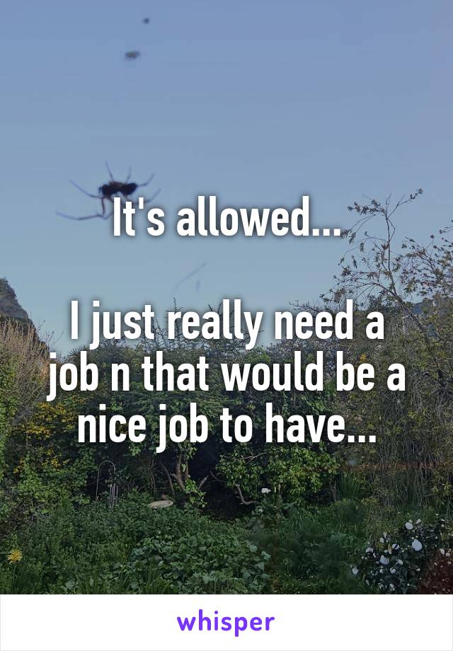 It's allowed...

I just really need a job n that would be a nice job to have...