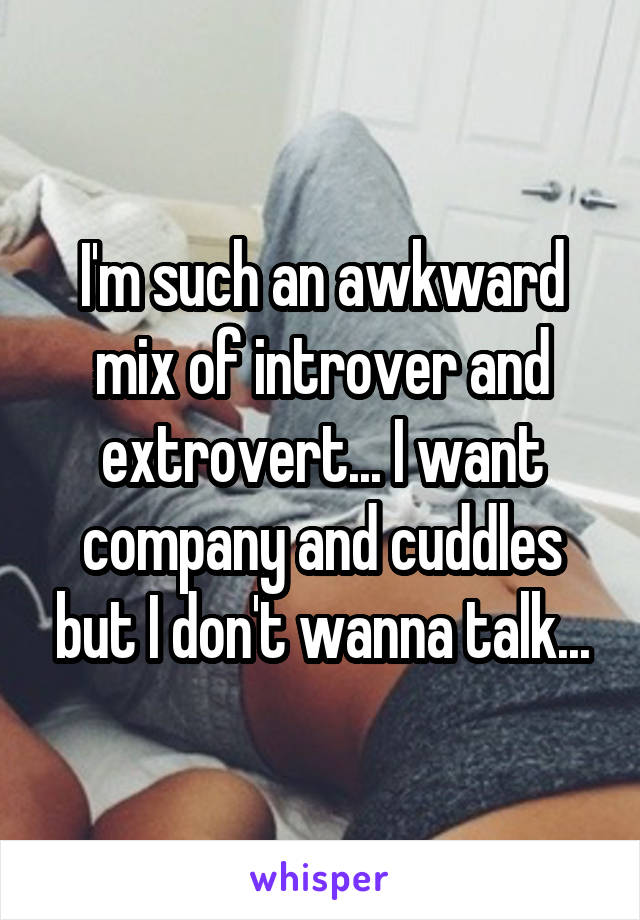 I'm such an awkward mix of introver and extrovert... I want company and cuddles but I don't wanna talk...