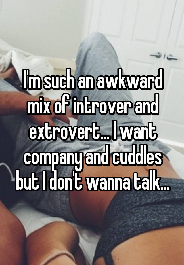 I'm such an awkward mix of introver and extrovert... I want company and cuddles but I don't wanna talk...