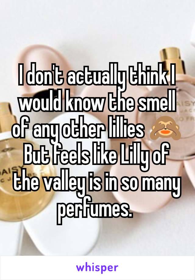 I don't actually think I would know the smell of any other lillies 🙈
But feels like Lilly of the valley is in so many perfumes. 