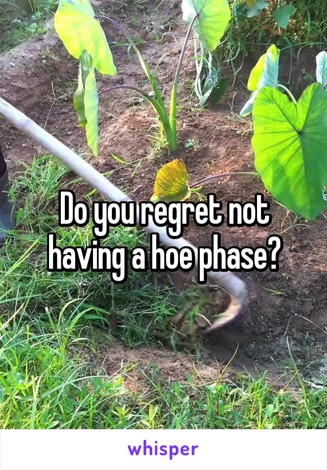 Do you regret not having a hoe phase?