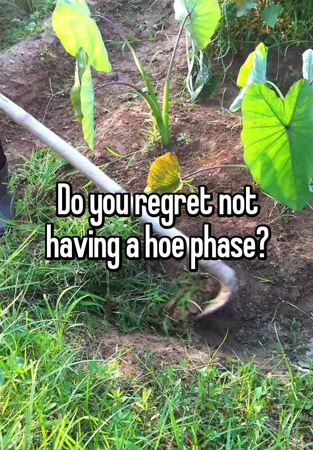 Do you regret not having a hoe phase?