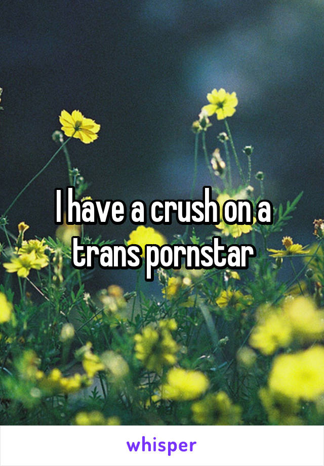 I have a crush on a trans pornstar