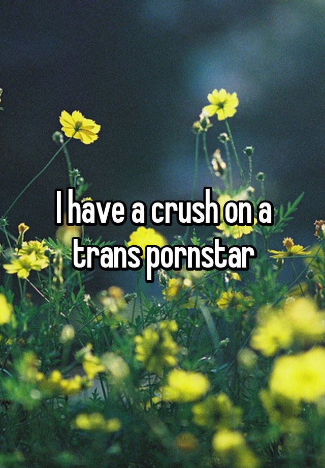 I have a crush on a trans pornstar