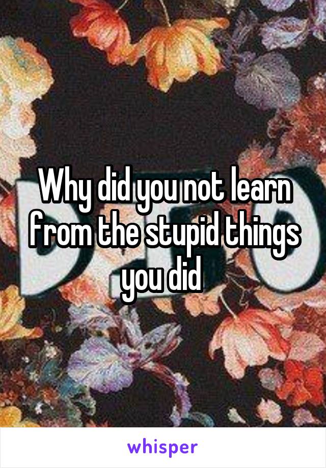 Why did you not learn from the stupid things you did 