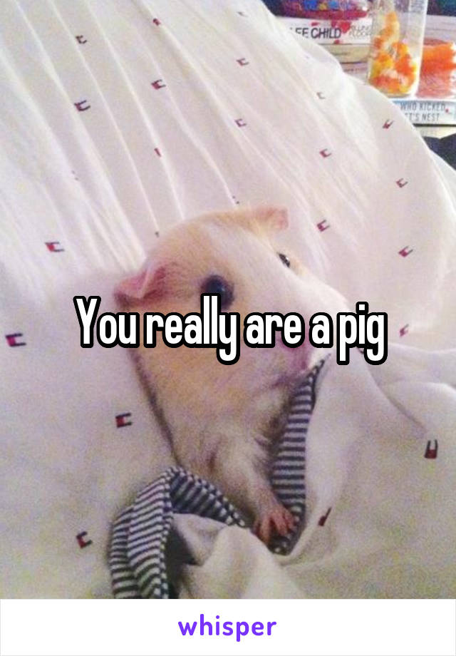 You really are a pig