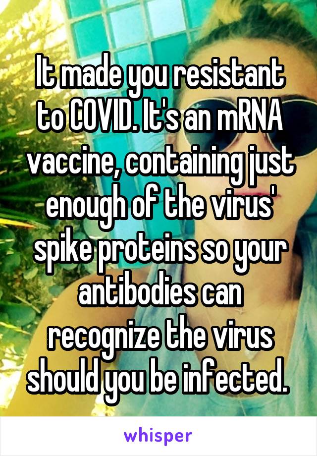 It made you resistant to COVID. It's an mRNA vaccine, containing just enough of the virus' spike proteins so your antibodies can recognize the virus should you be infected. 