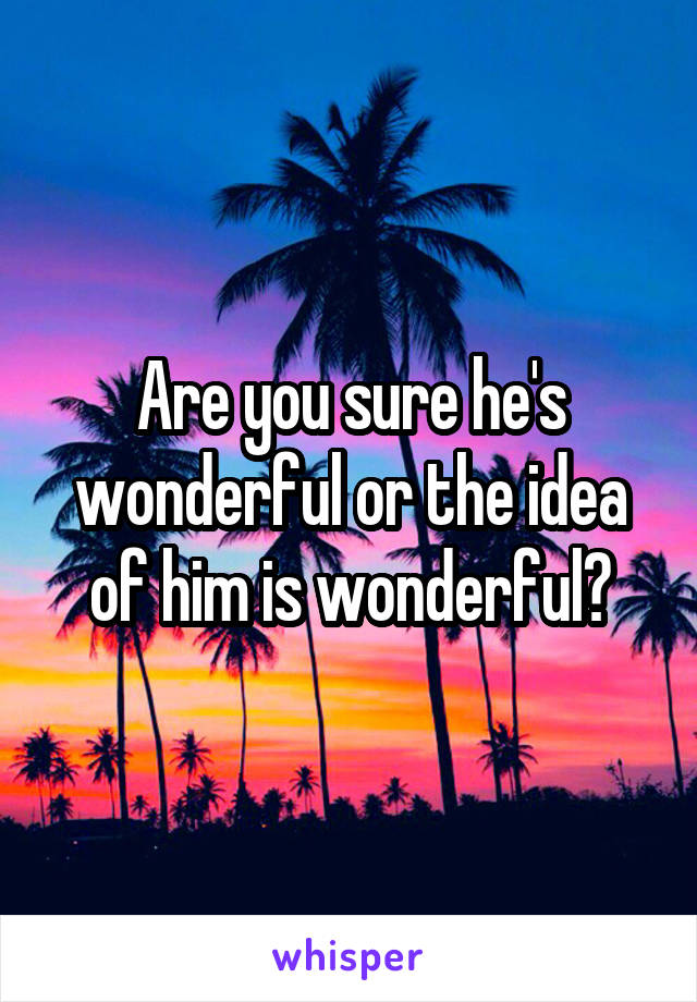 Are you sure he's wonderful or the idea of him is wonderful?