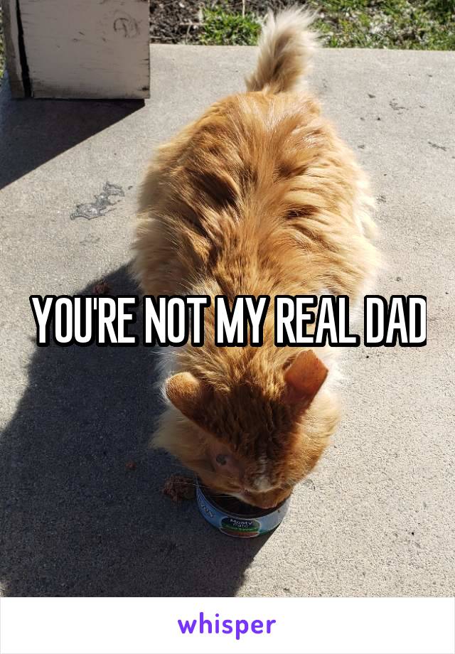 YOU'RE NOT MY REAL DAD