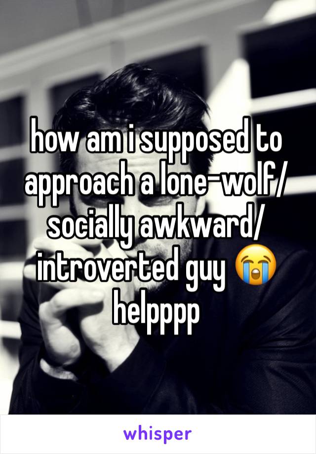 how am i supposed to approach a lone-wolf/socially awkward/introverted guy 😭 helpppp