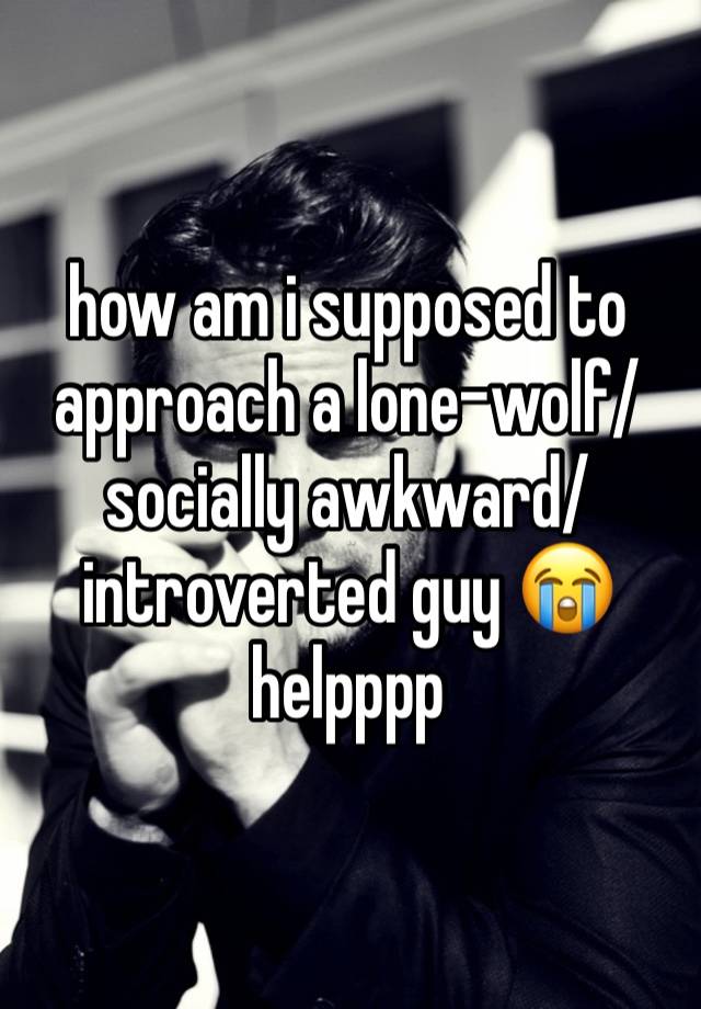 how am i supposed to approach a lone-wolf/socially awkward/introverted guy 😭 helpppp