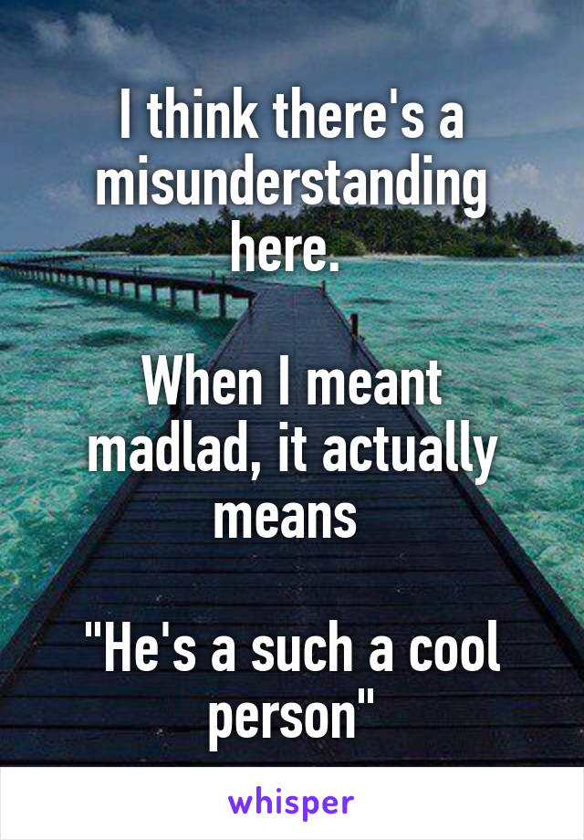 I think there's a misunderstanding here. 

When I meant madlad, it actually means 

"He's a such a cool person"