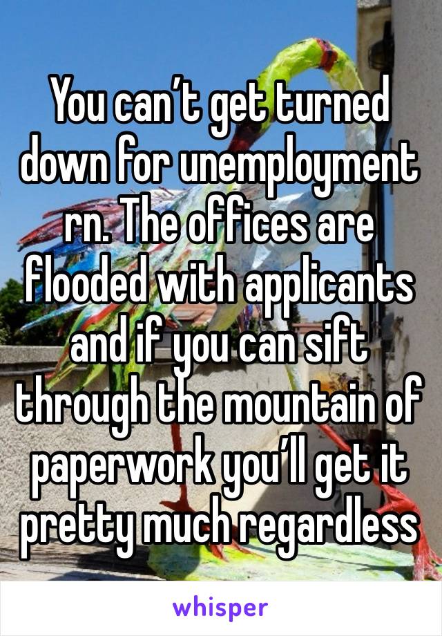 You can’t get turned down for unemployment rn. The offices are flooded with applicants and if you can sift through the mountain of paperwork you’ll get it pretty much regardless 