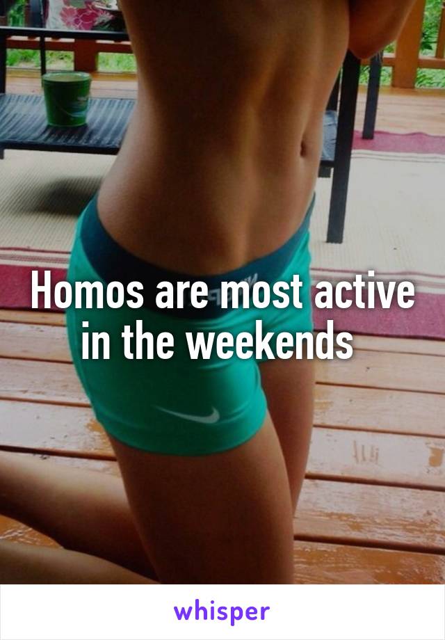 Homos are most active in the weekends 