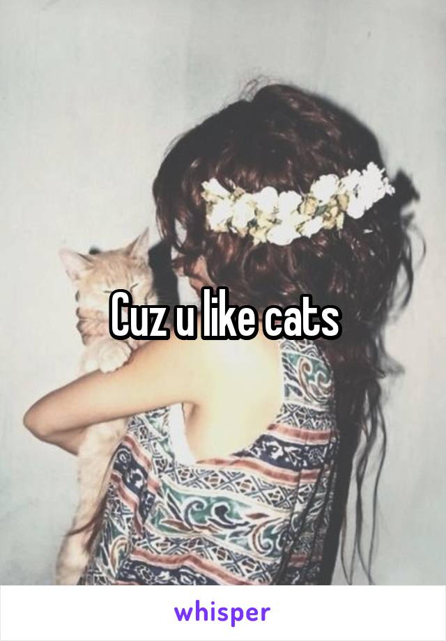 Cuz u like cats