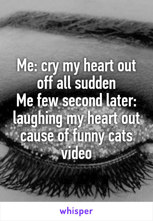 Me: cry my heart out off all sudden
Me few second later: laughing my heart out cause of funny cats video