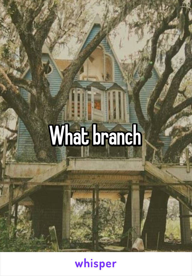 What branch 