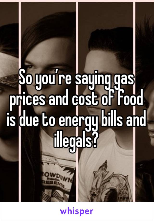 So you’re saying gas prices and cost of food is due to energy bills and illegals? 