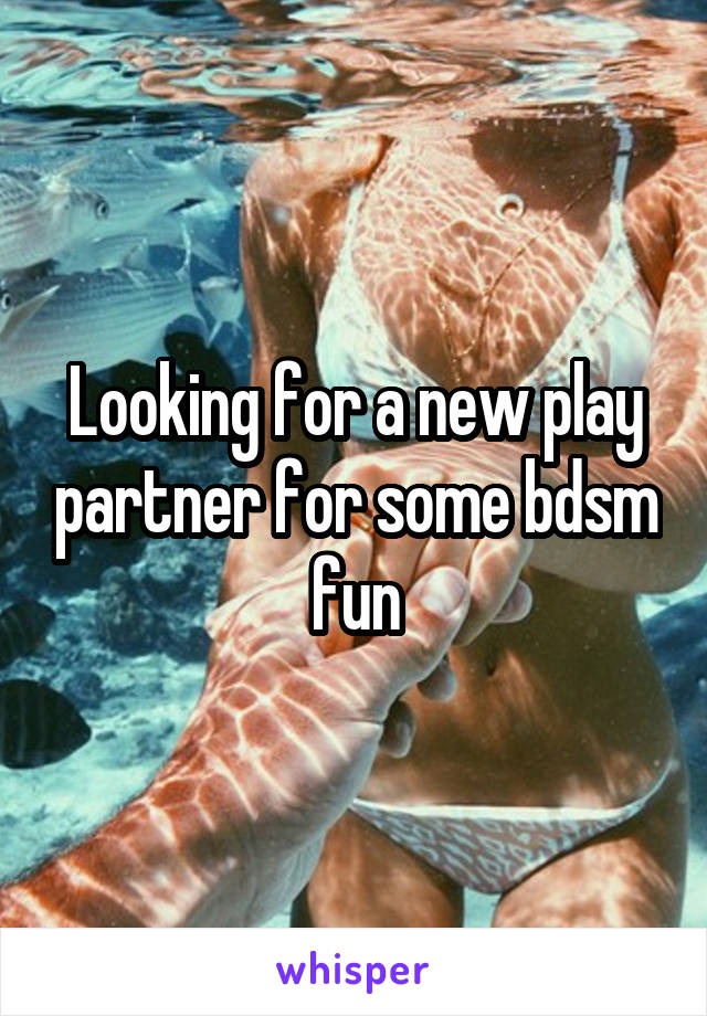 Looking for a new play partner for some bdsm fun