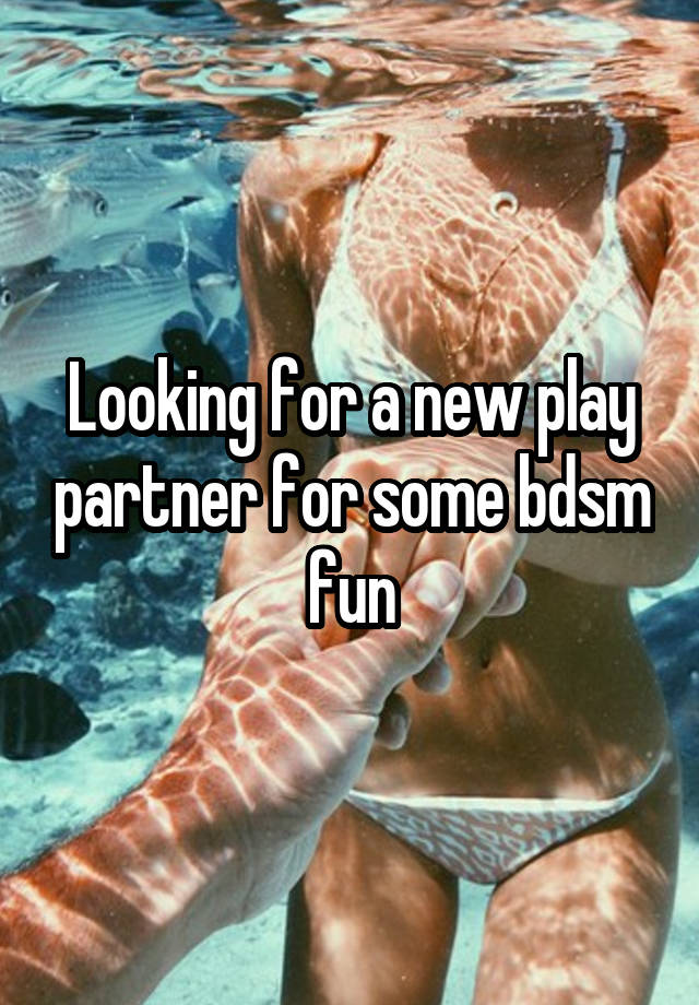 Looking for a new play partner for some bdsm fun