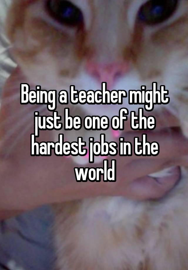 Being a teacher might just be one of the hardest jobs in the world